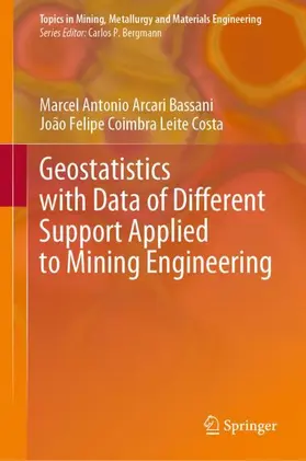 Coimbra Leite Costa / Arcari Bassani |  Geostatistics with Data of Different Support Applied to Mining Engineering | Buch |  Sack Fachmedien