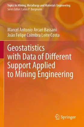 Coimbra Leite Costa / Arcari Bassani |  Geostatistics with Data of Different Support Applied to Mining Engineering | Buch |  Sack Fachmedien