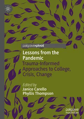 Thompson / Carello |  Lessons from the Pandemic | Buch |  Sack Fachmedien