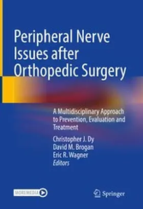 Dy / Brogan / Wagner |  Peripheral Nerve Issues after Orthopedic Surgery | eBook | Sack Fachmedien