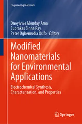 Ama / Sinha Ray / Ogbemudia Osifo | Modified Nanomaterials for Environmental Applications | E-Book | sack.de