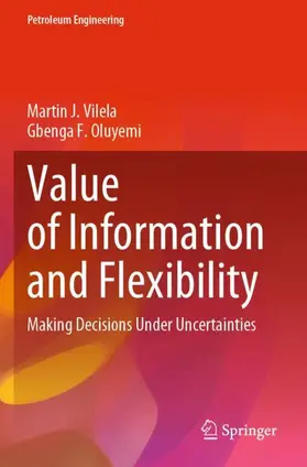 Oluyemi / Vilela |  Value of Information and Flexibility | Buch |  Sack Fachmedien