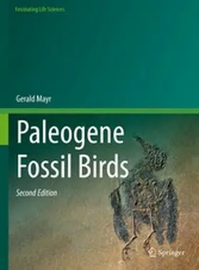 Mayr |  Paleogene Fossil Birds | eBook | Sack Fachmedien