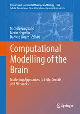 Giugliano / Negrello / Linaro |  Computational Modelling of the Brain | eBook | Sack Fachmedien
