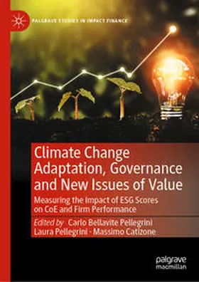 Bellavite Pellegrini / Catizone / Pellegrini |  Climate Change Adaptation, Governance and New Issues of Value | Buch |  Sack Fachmedien