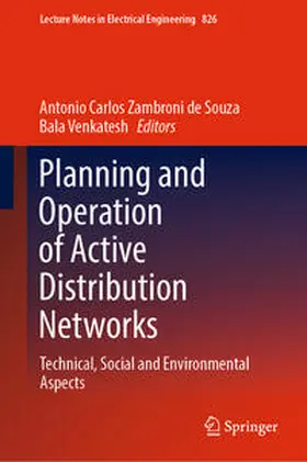 Zambroni de Souza / Venkatesh |  Planning and Operation of Active Distribution Networks | eBook | Sack Fachmedien