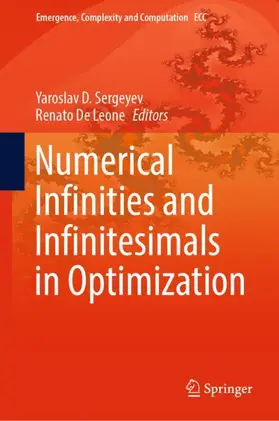De Leone / Sergeyev |  Numerical  Infinities and Infinitesimals in Optimization | Buch |  Sack Fachmedien
