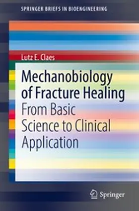 Claes |  Mechanobiology of Fracture Healing | eBook | Sack Fachmedien