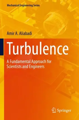 Aliabadi |  Turbulence | Buch |  Sack Fachmedien