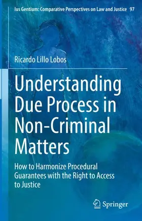 Lillo Lobos |  Understanding Due Process in Non-Criminal Matters | Buch |  Sack Fachmedien