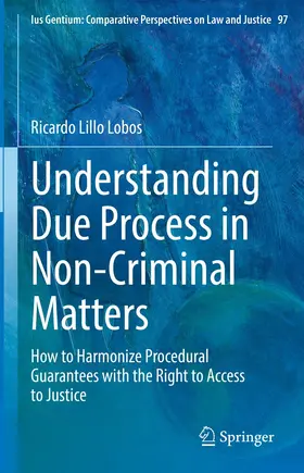 Lillo Lobos |  Understanding Due Process in Non-Criminal Matters | eBook | Sack Fachmedien