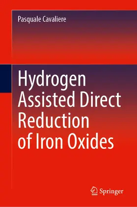 Cavaliere | Hydrogen Assisted Direct Reduction of Iron Oxides | Buch | 978-3-030-98055-9 | www2.sack.de
