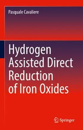 Cavaliere |  Hydrogen Assisted Direct Reduction of Iron Oxides | eBook | Sack Fachmedien