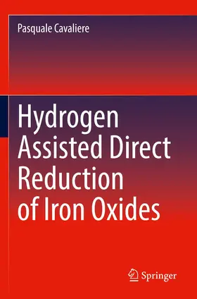 Cavaliere | Hydrogen Assisted Direct Reduction of Iron Oxides | Buch | 978-3-030-98058-0 | www2.sack.de