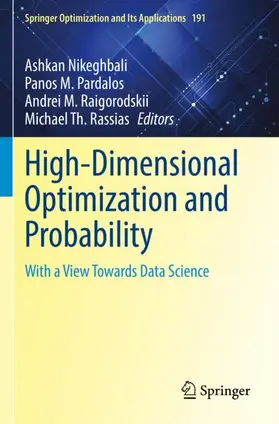 Nikeghbali / Rassias / Pardalos |  High-Dimensional Optimization and Probability | Buch |  Sack Fachmedien