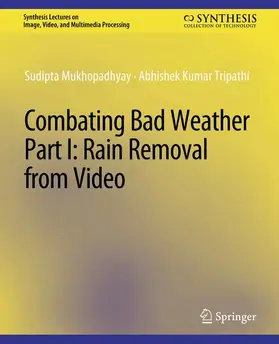 Tripathi / Mukhopadhyay |  Combating Bad Weather Part I | Buch |  Sack Fachmedien