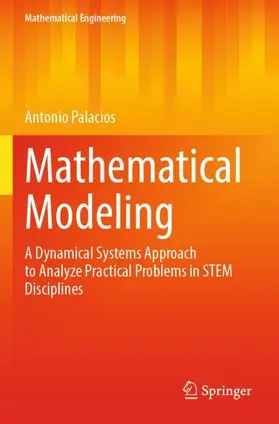 Palacios |  Mathematical Modeling | Buch |  Sack Fachmedien