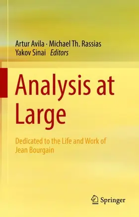 Avila / Sinai / Rassias |  Analysis at Large | Buch |  Sack Fachmedien