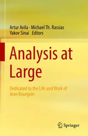 Avila / Rassias / Sinai | Analysis at Large | E-Book | sack.de
