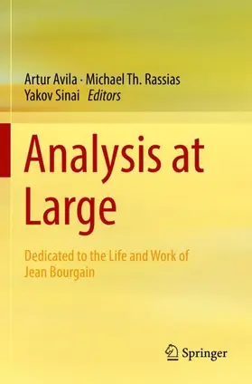 Avila / Sinai / Rassias |  Analysis at Large | Buch |  Sack Fachmedien