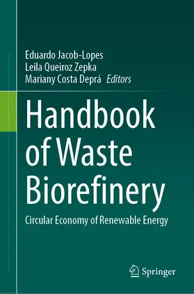 Jacob-Lopes / Costa Deprá / Queiroz Zepka |  Handbook of Waste Biorefinery | Buch |  Sack Fachmedien