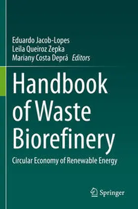 Jacob-Lopes / Costa Deprá / Queiroz Zepka |  Handbook of Waste Biorefinery | Buch |  Sack Fachmedien