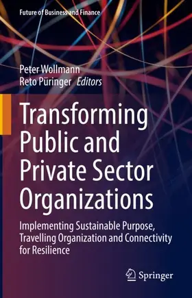 Püringer / Wollmann |  Transforming Public and Private Sector Organizations | Buch |  Sack Fachmedien