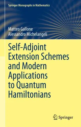 Gallone / Michelangeli |  Self-Adjoint Extension Schemes and Modern Applications to Quantum Hamiltonians | Buch |  Sack Fachmedien