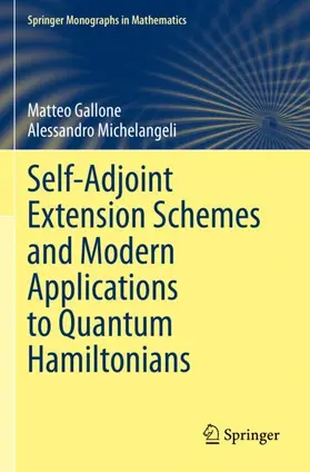 Gallone / Michelangeli |  Self-Adjoint Extension Schemes and Modern Applications to Quantum Hamiltonians | Buch |  Sack Fachmedien