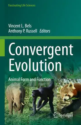 Bels / Russell | Convergent Evolution | E-Book | sack.de