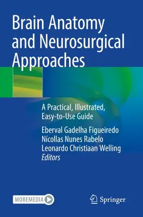 Figueiredo / Welling / Rabelo |  Brain Anatomy and Neurosurgical Approaches | Buch |  Sack Fachmedien