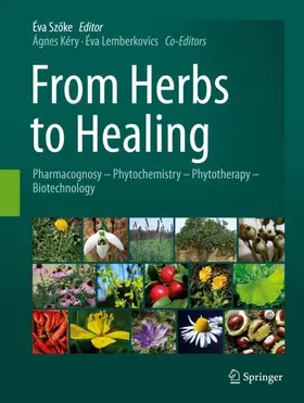 Szöke / Kéry / Lemberkovics |  From Herbs to Healing | Buch |  Sack Fachmedien
