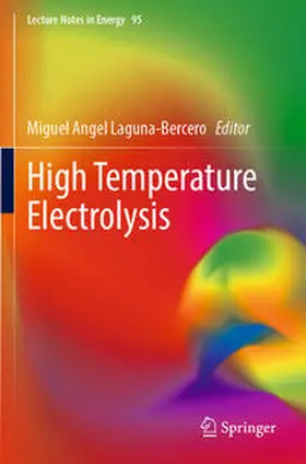 Laguna-Bercero |  High Temperature Electrolysis | Buch |  Sack Fachmedien