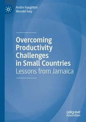 Ivey / Haughton |  Overcoming Productivity Challenges in Small Countries | Buch |  Sack Fachmedien