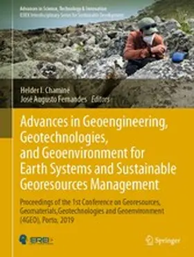 Chaminé / Fernandes | Advances in Geoengineering, Geotechnologies, and Geoenvironment for Earth Systems and Sustainable Georesources Management | E-Book | sack.de