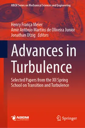 Meier / de Oliveira Junior / Utzig |  Advances in Turbulence | eBook | Sack Fachmedien