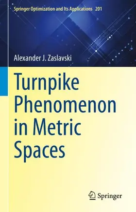 Zaslavski | Turnpike Phenomenon in Metric Spaces | Buch | 978-3-031-27207-3 | sack.de