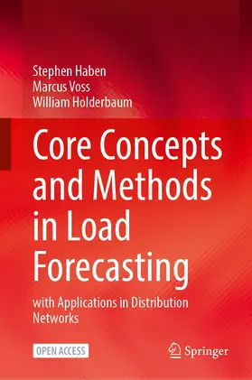Haben / Voss / Holderbaum |  Core Concepts and Methods in Load Forecasting | Buch |  Sack Fachmedien
