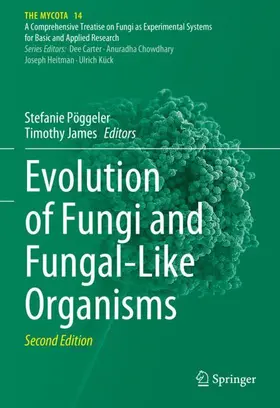 James / Pöggeler |  Evolution of Fungi and Fungal-Like Organisms | Buch |  Sack Fachmedien