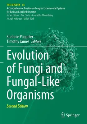 James / Pöggeler |  Evolution of Fungi and Fungal-Like Organisms | Buch |  Sack Fachmedien