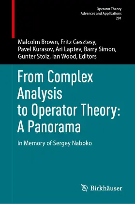 Brown / Gesztesy / Kurasov |  From Complex Analysis to Operator Theory: A Panorama | Buch |  Sack Fachmedien