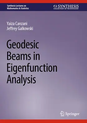 Galkowski / Canzani |  Geodesic Beams in Eigenfunction Analysis | Buch |  Sack Fachmedien