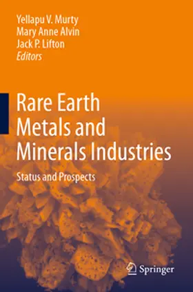 Murty / Lifton / Alvin |  Rare Earth Metals and Minerals Industries | Buch |  Sack Fachmedien
