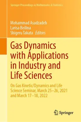 Asadzadeh / Takata / Beilina |  Gas Dynamics with Applications in Industry and Life Sciences | Buch |  Sack Fachmedien
