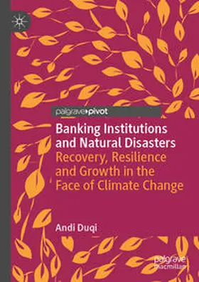 Duqi |  Banking Institutions and Natural Disasters | Buch |  Sack Fachmedien