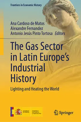 Cardoso de Matos / Fernandez / Jesús Pinto Tortosa |  The Gas Sector in Latin Europe’s Industrial History | eBook | Sack Fachmedien