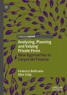 Beltrame / Sclip |  Analysing, Planning and Valuing Private Firms | eBook | Sack Fachmedien