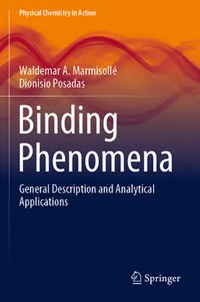 Marmisollé / Posadas |  Binding Phenomena | Buch |  Sack Fachmedien