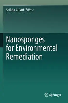 Gulati |  Nanosponges for Environmental Remediation | Buch |  Sack Fachmedien