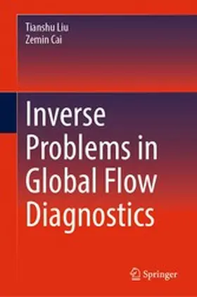 Liu / Cai |  Inverse Problems in Global Flow Diagnostics | eBook | Sack Fachmedien